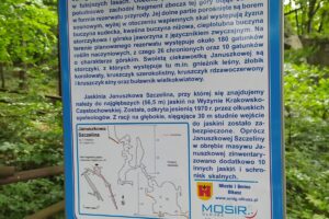 Na zdjęciu widoczna jest tablica informacyjna Januszkowej Góry.