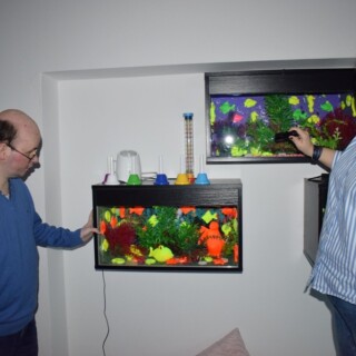 ????????????????????????????????????